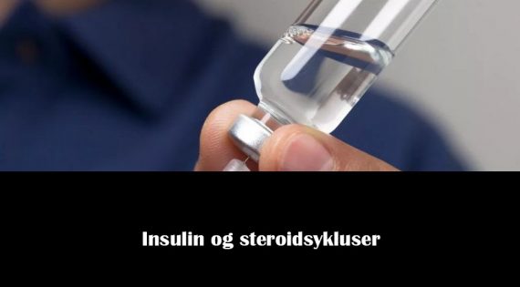 Insulin og steroidsykluser