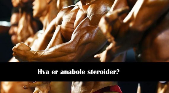 Hva er anabole steroider?